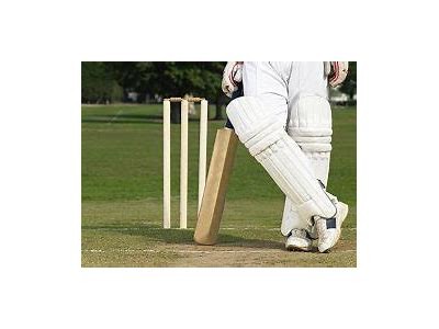 Explore the Exciting World of Willbet Cricket for Ultimate Betting Experience