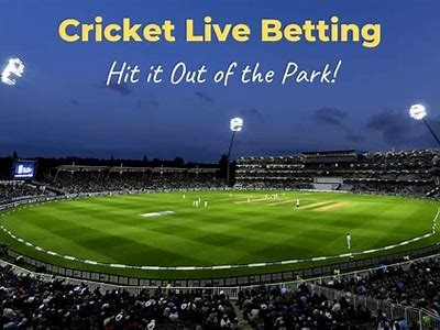 Explore the Exciting World of Willbet Cricket for Ultimate Betting Experience
