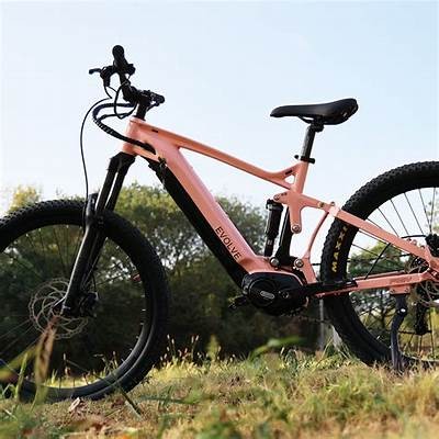 Fully Refurbished Electric Mountain Bikes for Optimal Performance and Durability