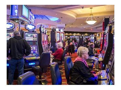 Discover the Exciting Offerings at WillBet Casino in Delaware for Online Gaming Enthusiasts